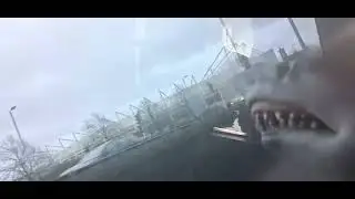 SB Short: Shark Puppet Saws The Liberty Stadium! 