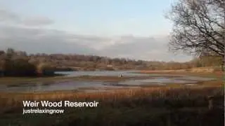 Weir Wood Reservoir