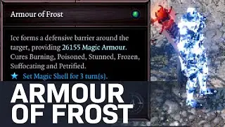 Divinity 2 Armour of Frost