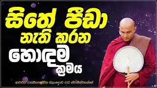 බෙලිහුල්ඔය ආරණ්‍ය  සේනාසනයේ සිට සජීවීව Ven Balangoda Radha Thero Ama Dora Viwara Viya