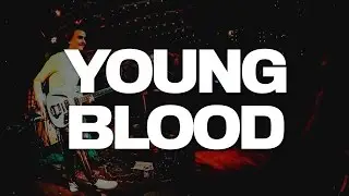Young Blood - Aggressive Swans LIVE