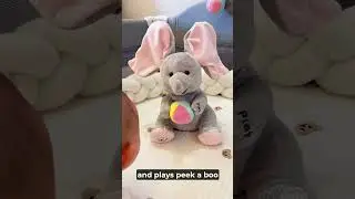 Peek-A-Boo Elephant: The Toy Every Baby Loves