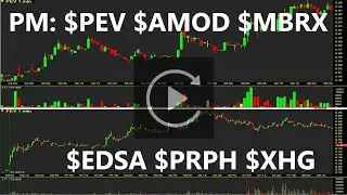 $PEV $AMOD $MBRX $EDSA $PRPH $XHG PM Top Stocks Replay & Review