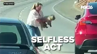 Drivers unite in extraordinary act of kindness to save stranded dog on busy CA highway