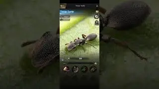 The ants underground Kingdom tips and tricks for beginners part 2