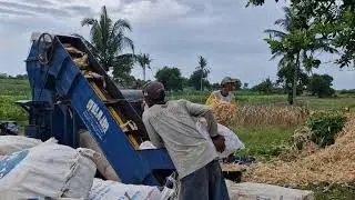 MODERN FARMING TECHNOLOGY: FAST CORN SEED SEPARATION WITH ADVANCED MACHINERY - Agriculture Tools