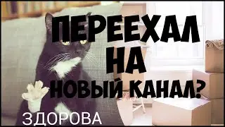 S4NN3R Переехал на новый канал Cinthro?