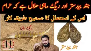 jund bedastar k istemal ka tarika | Reg mahi | Regmahi ka istemal | Herbalist Nafees