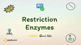 Restriction Enzymes | Introduction | Recognition, Cleaving, Modification | Genetics