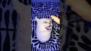 Кот против Маленькой Ручки..