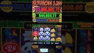 ВРАЩЕНИЕ $125 И БОНУС на Panda Magic! 🔥 #DragonLink #PandaMagic #Slots #Casino #Gamble