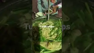 Angkor Wat || Cambodia || turtle soup