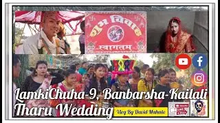 Tharu Clulture Wedding || Vlog || By David Mahato || Banbarsha-9 || Kailali ||Exploring Nepal.