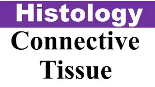 Chp5 Histology Inder Bir Singh | General Connective Tissues | Dr Asif Lectures