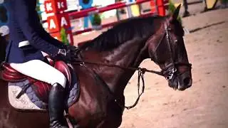 Equestrian- Lost It To Trying