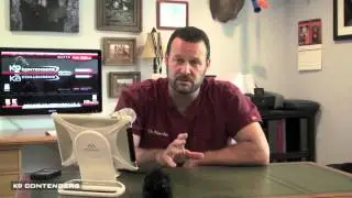 K9C Vet Dr. Marc Smith - Eye Discharge