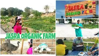 Visit To A Beautiful Farm In Bahrain | JASRA ORGANIC FARM & PARK VLOG | Indian Mom Vlogs