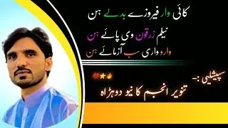 Tanveer Anjum New Song WhatsApp Status Punjabi songs Saraiki Song #bhacharwrites #tanveeranjum #song