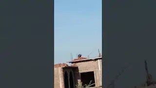 Construction of the Dome of Mosque