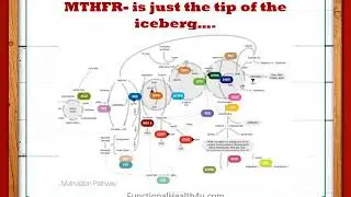 Functional Health - What does your genetics or SNPs say about your health?