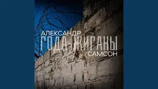 Старый кот