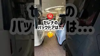 セレナのバックドアは🤫㊙️