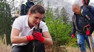 Ladurner | Riforestazione a Sesto Pusteria (BZ) - 01.10.2025