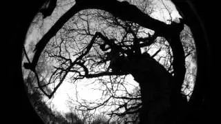 Moonshine Massacre-Anti-ill