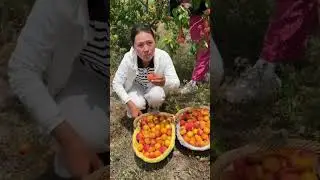 #fruits #freshfarmfruit #farming #chinesefruits