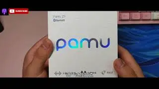 Pamu Z1 Earbuds - Unboxing & Review