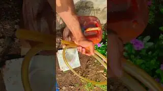 An easy way to extract diesel #shorts #tricks #trika #diesel #idea #dieseltank #craft #technique