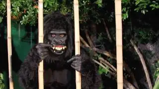 Goin' Ape Gorilla Costume with Motion Mask (01172)