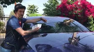 david dahan magician card thru window