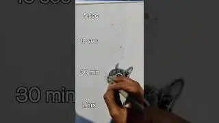 How to draw realistic squirrel 😱😱😍😍 #shorts #viral #trending #youtubeshorts