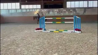 Iberio // Show Jumper // Echo van't Spieveld // 2013 // Gelding