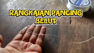 RANGKAIAN PANCING BELUT PEMULA #harrymancing