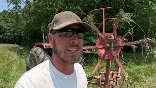 A week on the farm in June