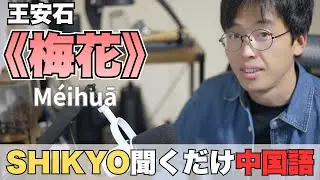 002｜梅花｜寒さの中で、静かに咲くという選択（王安石）