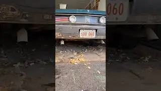 1968 Chrysler 300 440 Cold Start First start in 2 years