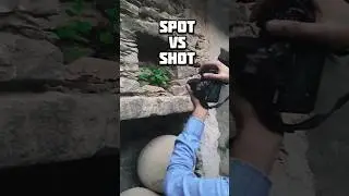 Part 2 Spot Vs Shot Nature Photography Canon Rebel T6