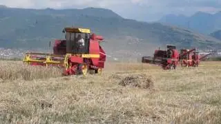Zmaj 135