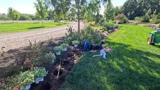 Planting New Plants for &lsquo;25/&lsquo;26 & Harvesting Blackberries! 🌿💜🌿 // Garden Answer