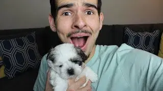 Buying My Mom a Puppy Prank!