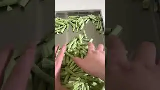 Freeze-dried beans test of Fullkey freeze dryer