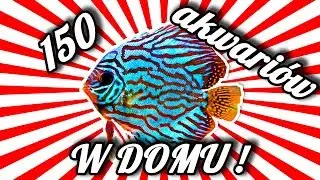 CIEKAWOSTKI O HODOWLI PALETEK W DOMU