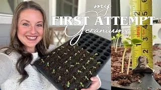 Seed to Sprout in FIVE days! Beginner to Pro w/ 100% Germination the SIMPLE way!