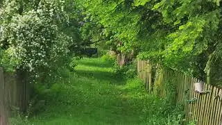 Exploring your remote place at 4 PM (2h Techno, IDM, VGM OST, House Mix)