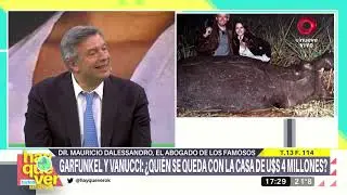 Divorcio millonario: Victoria Vannucci y Matías Garfunkel