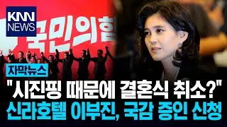 신라호텔 이부진, 국감 증인 신청 / KNN