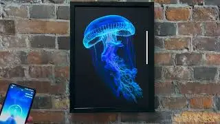 Obraz LED Lightvibes Meduza 09